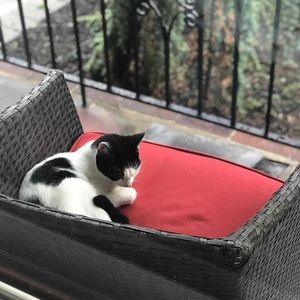 Meet your Posher, Suzanne